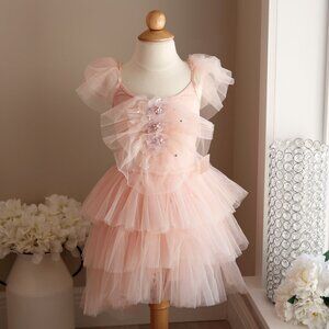 Tutu Du Monde Tulle Dress Bubble Gum Party Flower Girl Party Portrait Dress NWT